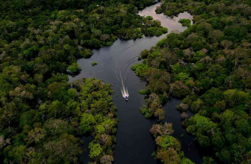 Brazil to partner with SpaceX to provide network from floating Amazon forest
