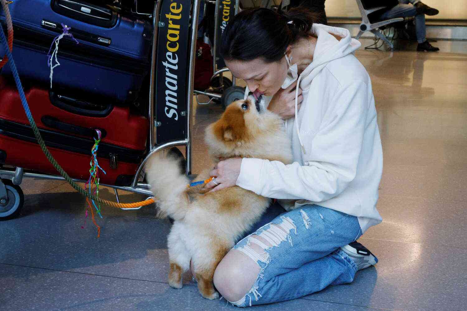 TSA ends restrictions that may have stranded passengers with pets on Delta, American flights
